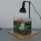 Đèn rọi đế gỗ Riverzone Led WRGB siêu sáng tăng cường màu sắc