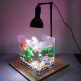 Đèn rọi đế gỗ Riverzone Led WRGB siêu sáng tăng cường màu sắc