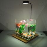 Đèn rọi đế gỗ Riverzone ánh sáng trắng dùng cho bể thuỷ sinh, tiểu cảnh