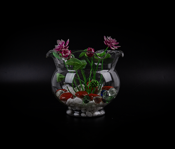 Bể thủy tinh mini tai bèo để bàn size nhỏ