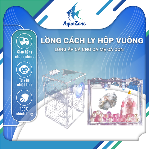 Lồng cách ly cá hộp vuông, lồng ấp cá cho cá mẹ cá con