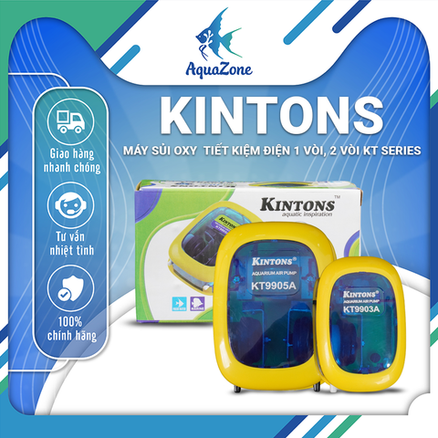 Máy sủi Oxy Kintons KT Series - Sủi Oxy tiết kiệm điện 1 vòi, 2 vòi tiện lợi