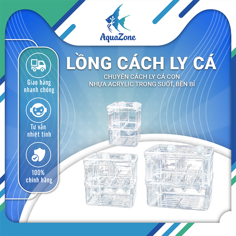 Lồng cách ly cá chuyên cách ly cá con, nhựa Acrylic trong suốt, bền bỉ