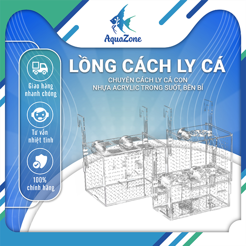 Lồng cách ly cá chuyên cách ly cá con có lỗ cho ăn, nhựa trong suốt, bền bỉ