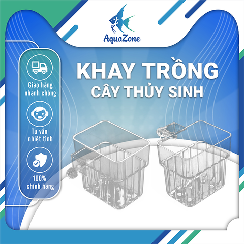 Khay trồng cây thủy sinh, khay trồng bằng nhựa acrylic cho bể cá