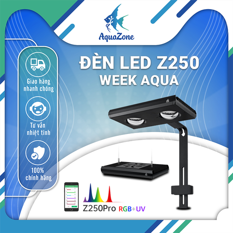 Đèn LED WEEK AQUA Z250PRO tích hợp 4in1 RGB + UV ánh sáng chất lượng cao