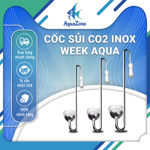 Cốc sủi CO2 WEEK AQUA siêu mịn xi lanh bằng thép không gỉ