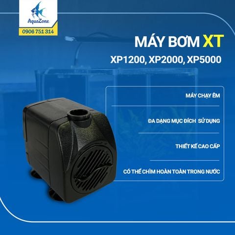 Máy bơm chìm Royal XT XP 1200 - 2000 - 5000