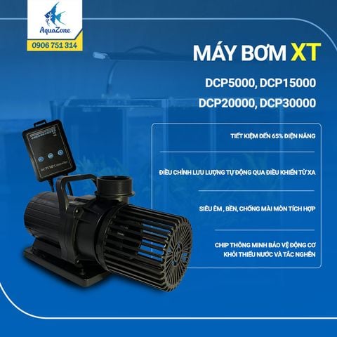 Bơm đẩy XT-DCP 5000,15000, 20000, 30000 (24V)
