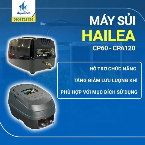 Máy sủi khí tích điện Hailea CP 60 - CPA120 tạo lưu lượng khí lớn, tiết kiệm điện năng