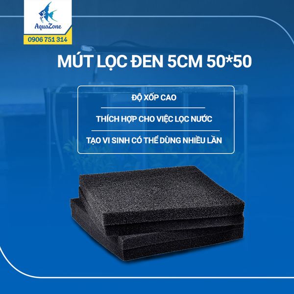 Mút đen lọc nước 50x50cm, dày 5cm, 3cm, 2cm