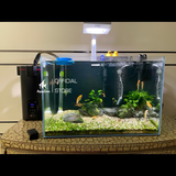 Lọc thùng Netlea NO1, NO2 cao cấp tích hợp sẵn bơm, có sẵn vật liệu lọc | Lọc thùng bể cá hiện đại, thế hệ mới