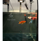 Đèn led Riverside FLATLIGHT 150A hiệu ứng ánh sáng siêu mạnh, đèn kết hợp tia sóng nước dành cho bể thủy sinh, bể cá, bể suối