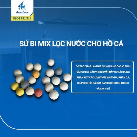 Sứ Bi Mix Lọc Nước hồ Cá, nhiều màu đẹp mắt ( 200-300-500-1000 gram)