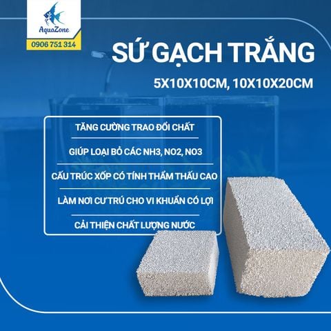 SỨ GẠCH TRẮNG LỌC NƯỚC HỒ CÁ 5x10x10cm, 10x10x20cm.