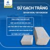 1 viên - SỨ GẠCH TRẮNG LỌC NƯỚC HỒ CÁ 5x10x10cm, 10x10x20cm