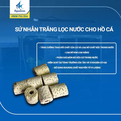 Sứ nhẫn trắng lọc nước cho hồ cá và tạo vi sinh
