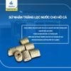 Sứ nhẫn trắng lọc nước cho hồ cá và tạo vi sinh