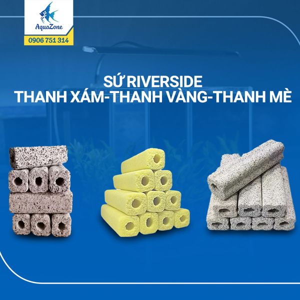 COMBO 10 THANH RIVERSIDE - SỨ THANH XÁM - SỨ THANH VÀNG - SỨ THANH MÈ - VẬT LIỆU LỌC CHO HỒ CÁ