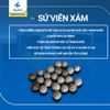 1KG - Sứ viên xám lọc hồ cá