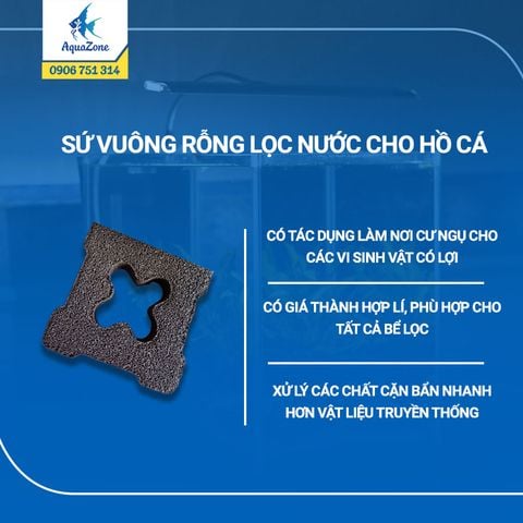 1 VIÊN -SỨ VUÔNG RỖNG LỌC NƯỚC CHO HỒ CÁ