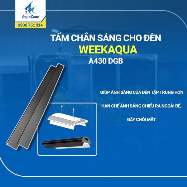 TẤM CHẮN SÁNG CHO ĐÈN WEEK AQUA A430 DGB