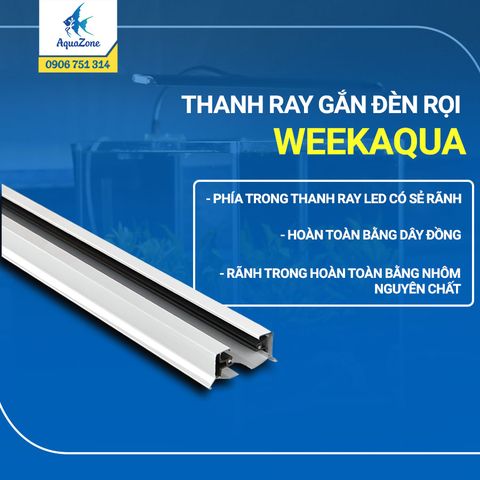 Thanh ray gắn đèn rọi Week Aqua