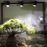 Thanh ray đèn rọi Riverzone dành cho đèn rọi ray bể cá bể thủy sinh