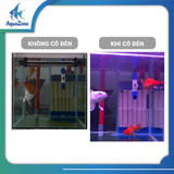 Đèn led tròn 4 hàng bóng XML PLUS đỏ/trắng/vàng phủ toàn bể, ánh sáng mạnh mẽ, màu sắc nổi bật