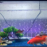 Thanh sủi kết hợp đèn led trang trí bể cá độc đáo JXP15~JXP120 ( KÈM ĐIỀU KHIỂN) | P20~P120