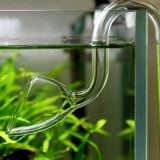 BỘ IN-OUT YD THỦY TINH KHÔNG LỌC VÁNG