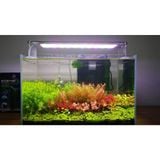 ĐÈN LED MÁNG NHÔM WEEK AQUA - V (White) Series: 200-300-400-450-600-800-900-1200