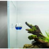 DỤNG CỤ THUỶ TINH TREO KIỂM TRA CO2 (NGẮN - DÀI -TRÒN)