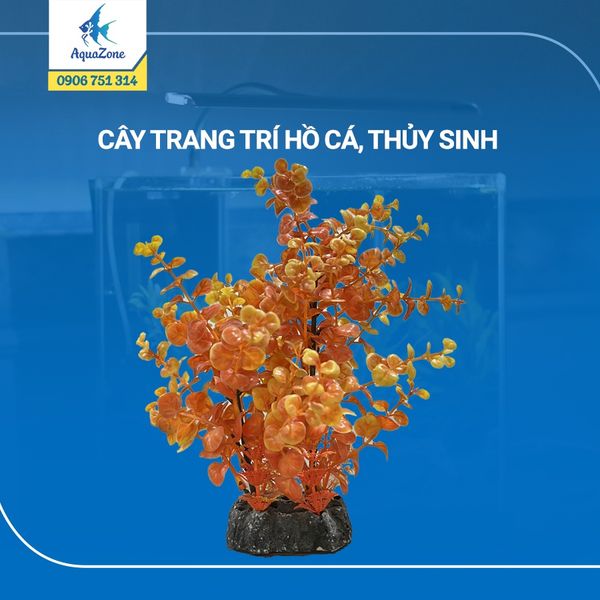 cây trang trí hồ cá cảnh, thủy sinh 5 [4408102]