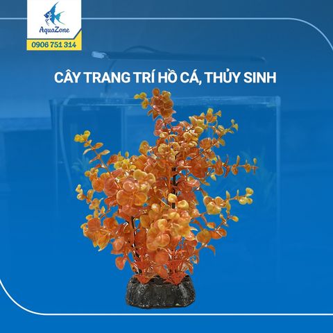cây trang trí hồ cá cảnh, thủy sinh 5 [4408102]