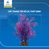 cây trang trí hồ cá cảnh, thủy sinh 3