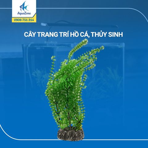 cây trang trí hồ cá cảnh, thủy sinh 13 [200549]