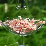 BỘ DỤNG CỤ CHO CÁ, TÉP ĂN DẠNG ỐNG 8.8CM, 28CM (HY)