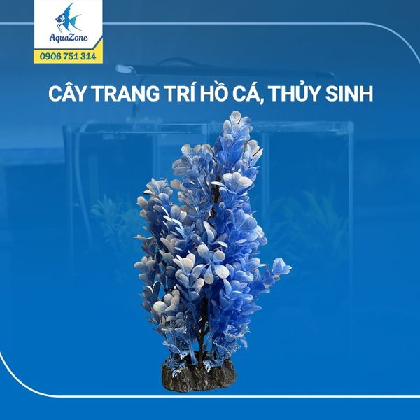 cây trang trí hồ cá cảnh, thủy sinh 19 [3206066]
