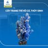 cây trang trí hồ cá cảnh, thủy sinh 19 [3206066]