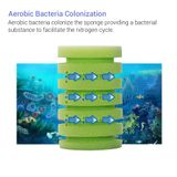 BỘ LỌC BIO XINYOU ĐÔI - ĐƠN | 2900 - 2901 - 2902 |