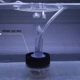 Bộ lọc bọt biển sinh học XinYou XY-168