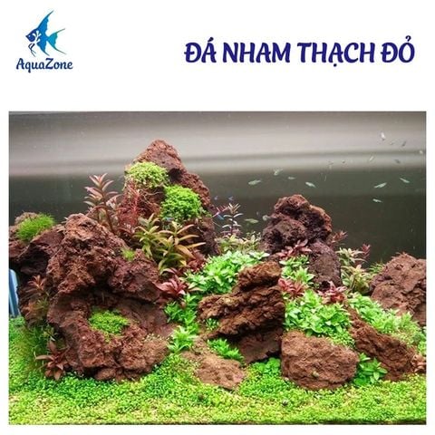 Đá nham thạch đỏ | Vật liệu trang trí và làm sạch hồ cá