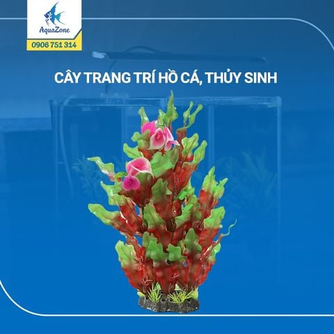 cây trang trí hồ cá cảnh, thủy sinh 7 [4408435]