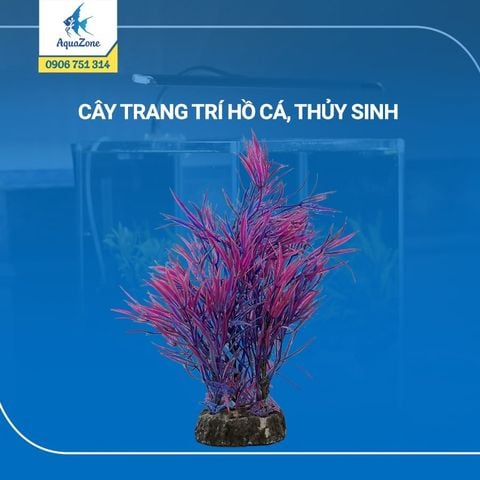 cây trang trí hồ cá cảnh, thủy sinh 8 [2005561]