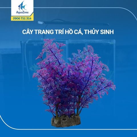 cây trang trí hồ cá cảnh, thủy sinh 11 [2005501]