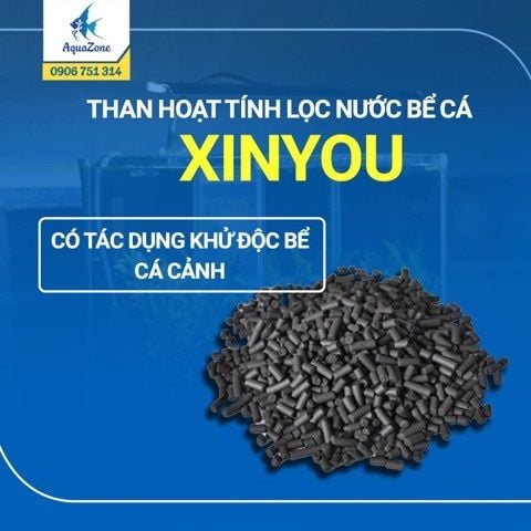 Than hoạt tính lọc nước bể cá  XINYOU | HỘP 150G