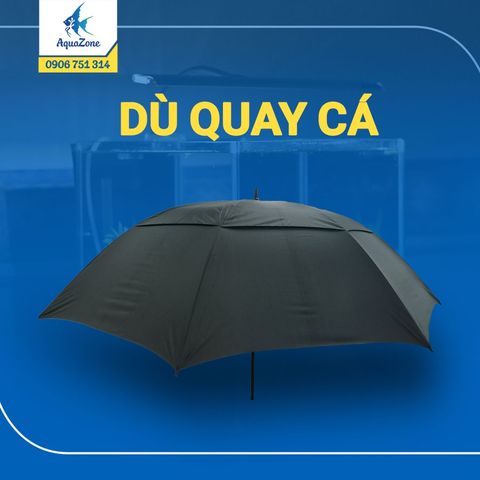 Ô dù quay cá, câu cá, che nắng, che mưa