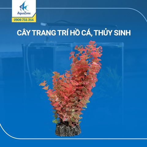 cây trang trí hồ cá cảnh, thủy sinh 22 [3206507]