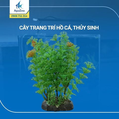 cây trang trí hồ cá cảnh, thủy sinh 1 [200550]